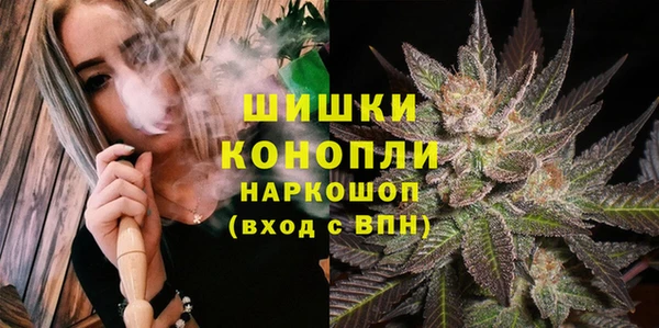 spice Арсеньев