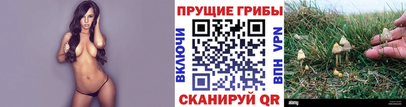 Псилоцибиновые грибы ЛСД  Аткарск 